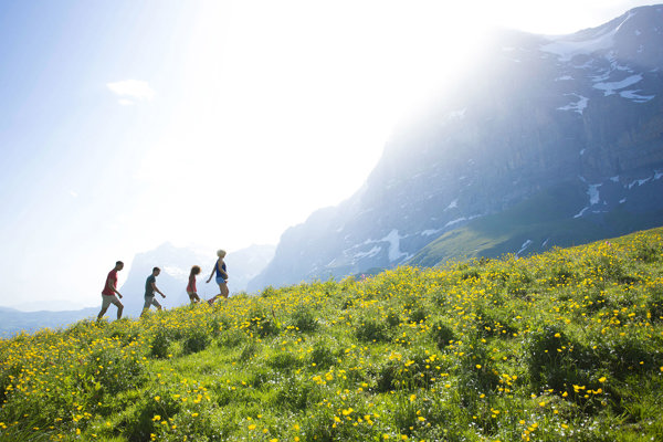 Active Alps