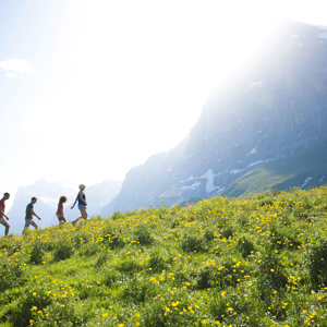Active Alps Trip