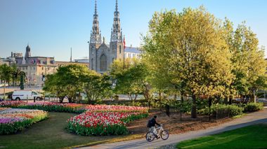 Notre-Dame Cathedral Basilica in Ottawa, Canada