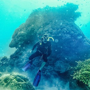 Great Barrier Reef Explorer: Learn to Dive Trip
