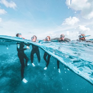 Great Barrier Reef Explorer: Snorkel to Adventure Trip