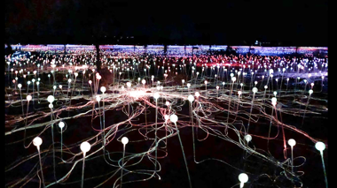 Field of Lights in Uluru, Australia