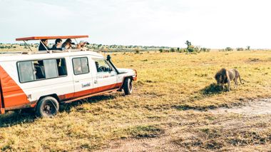 Make Travel Matter Ngorogoro Crater Game Drive at Ngorogoro in Tanzania