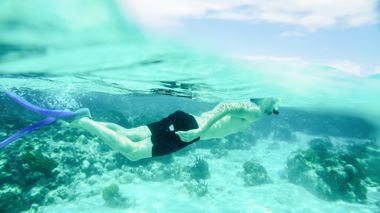 Traveller snorkelling over the Great Barrier Reef in Cairns, Australia