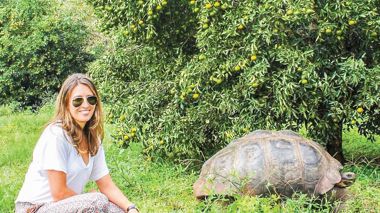 Traveller with a Giant Tortoise on Santa Cruz Island in the Galapagos