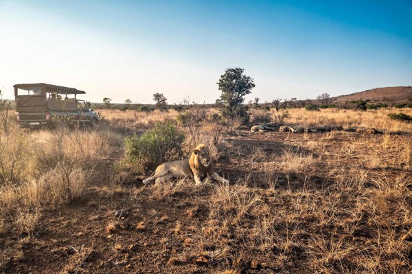 Best of South Africa