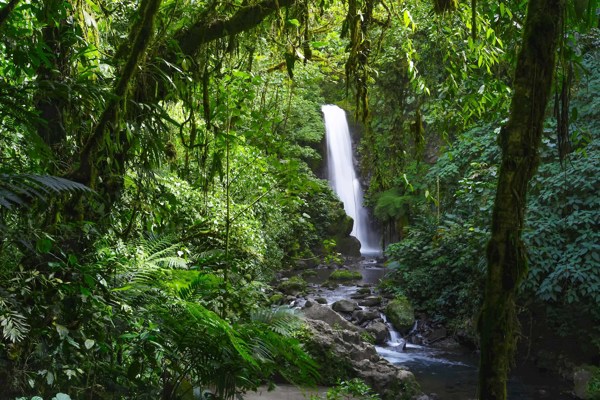 Costa Rica Adventure
