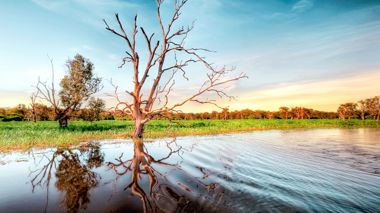 Panoramic View From Sunset Cruise On Yellow Water Billabong In Kakadu, Australia
