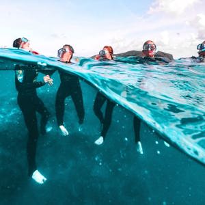 Travellers snorkelling on the Great Barrier Reef in Australia during the Contiki Snorkel & Dive Tour