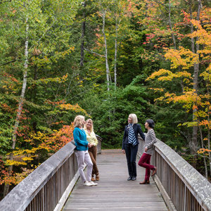 New England's Fall Foliage Womens Only Guided Tour