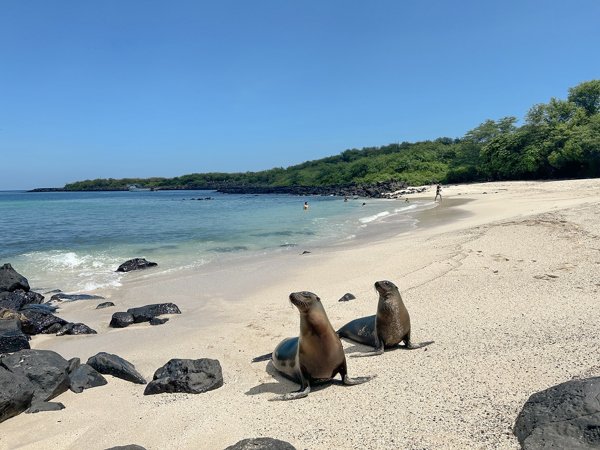 Ecuador and Galapagos Island Hopper