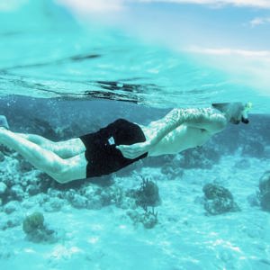 Snorkelling above colourful coral reefs, a Contiki traveller explores the Great Barrier Reef on the Whitsundays to Cairns Tour
