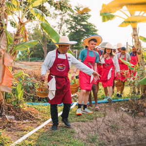 Local man showing plants to travellers for cooking class, Chiang Mai, Thailand