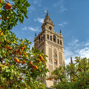 Highlights of Spain Guided Tour