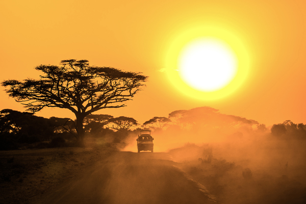Kenya and Tanzania Safari