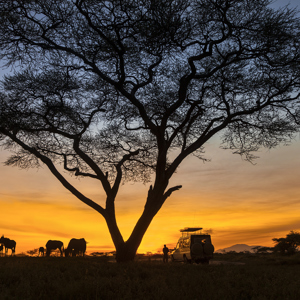 Kenyan Highlights Reunion