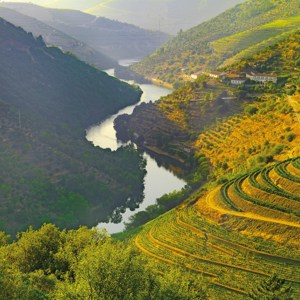 Country Roads of Portugal Guided Tour