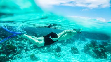 Traveller snorkelling over the coral reefs in Australia