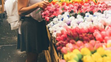 Traveller looking at Tulip flowers in Amsterdam, Netherlands