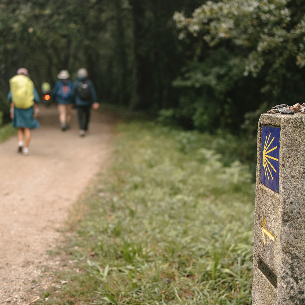 Hiking the Camino de Santiago Trip