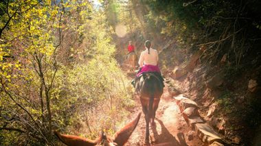 Two travellers horseback riding on a trail in Jackson Hole