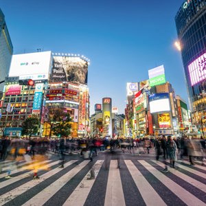 Japan Unrivalled 35 to 45 Trip