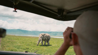 Traveller in a safari truck looking at a distant elephant, Serengeti, Tanzania