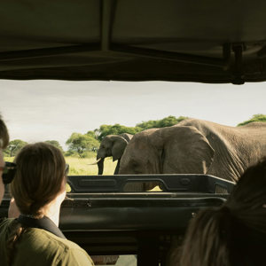 Kenya and Tanzania Adventure Trip
