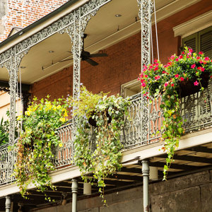 Country Roads of the Deep South Womens Only Guided Tour