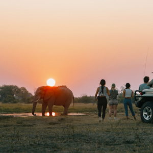 Victoria Falls and Botswana