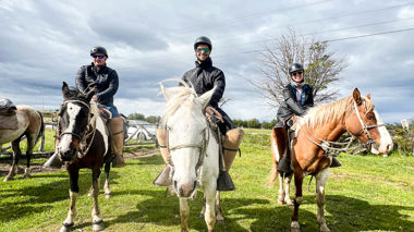 Three travellers horse riding on green grass with a cloudy sky in the background