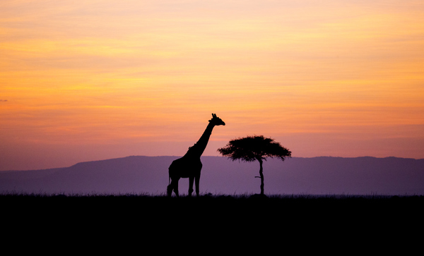 Kenya Adventure