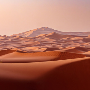 Culture and Coastlines in Morocco Trip