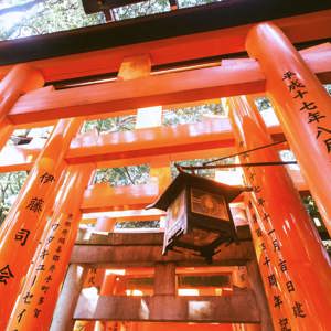 Looking up through the iconic tunnel of orange torii gates with Japanese kanji inscriptions at Fushimi Inari Taisha shrine in Kyoto Japan - Contiki Japan in a Week Tour