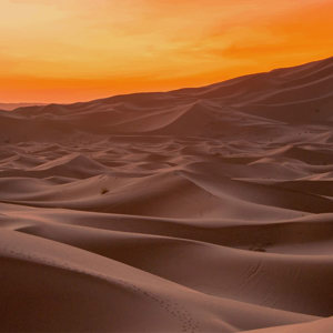 Best of Morocco Trip