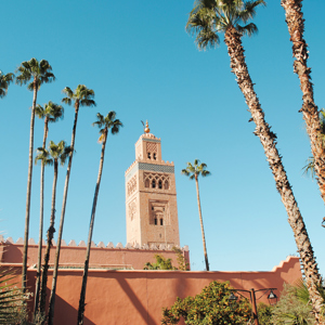 Best of Morocco Trip