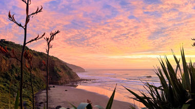 Sunset over a New Zealand black sand beach, Muriwai, New Zealand