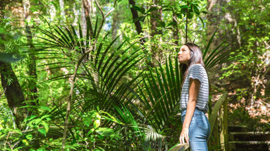 Traveller stood on a walk way through the trees in Parry Kauri Park, New Zealand