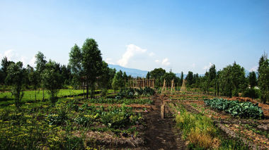Traditional Aztec agricultural island growing crops, Xochimilco, Mexico City.