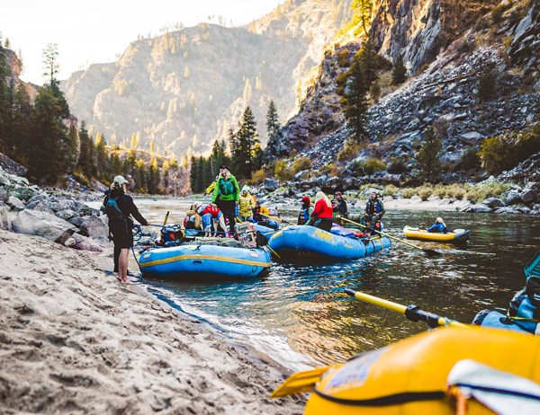 Yellowstone and Grand Tetons