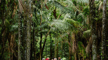 A group of travellers walking through a luscious green jungle in Bako National Park, Borneo