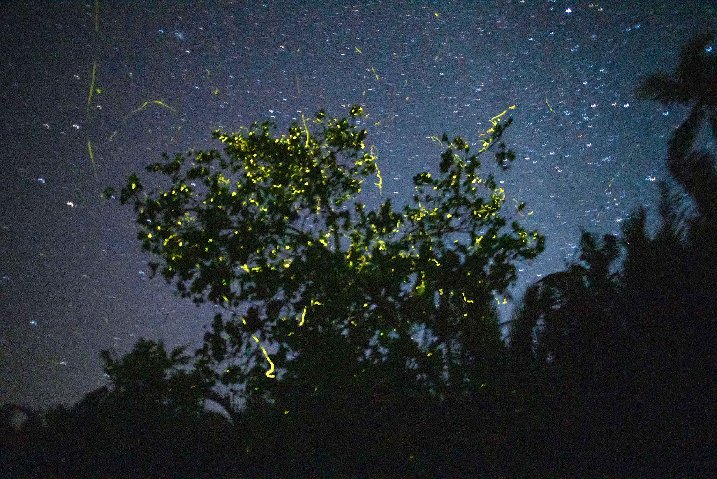 highlights.title