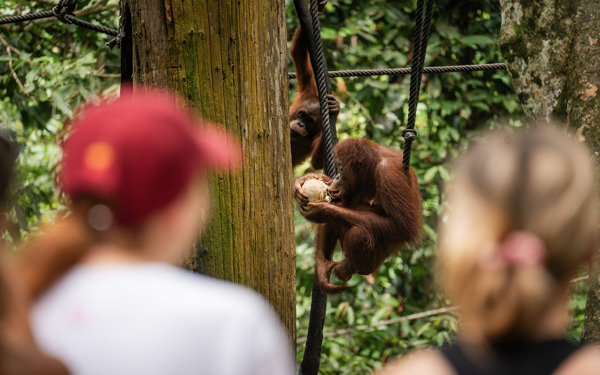 Borneo Adventure