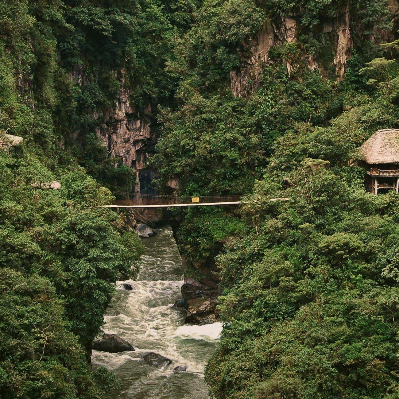 Suspension bridge over a rushing river gorge through dense cloud forest near Baños de Agua Santa Ecuador - Contiki Ecuador Tour