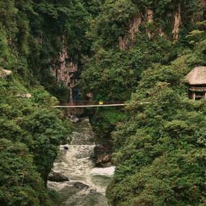 Suspension bridge over a rushing river gorge through dense cloud forest near Baños de Agua Santa Ecuador - Contiki Ecuador Tour