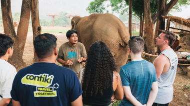 A group of travellers facing away from the camera with a local guide, with an elephant in the background, in Phuket, Thailand