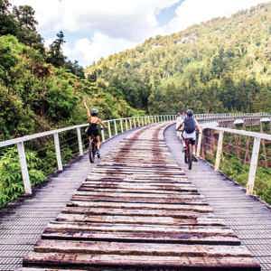 Travellers cycling across a scenic railway bridge through native forest on the Contiki Wild New Zealand Tour