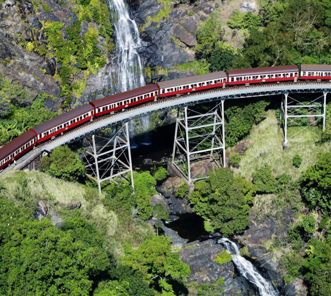 Daintree Rainforest