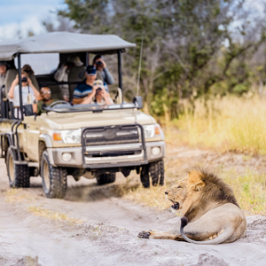 Southern Africa Safari Reunion Trip