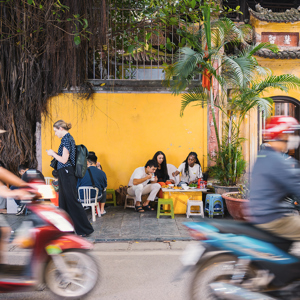 Vietnam Highlights